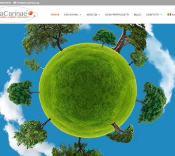 EtaCarinae S.r.l. – Sustainable Energy Solutions